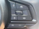 Thumbnail of 2025 Magnetite Gray Metallic Subaru Crosstrek