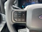 Thumbnail of 2025 Carbonized Gray Metallic Ford F-150