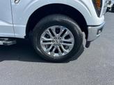 Thumbnail of 2025 Oxford White Ford F-150