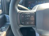 Thumbnail of 2025 Gray Metallic Ford F-150