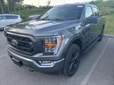 Thumbnail of 2022 Carbonized Gray Metallic Ford F-150