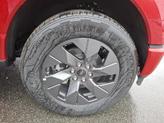 Thumbnail of 2025 Rapid Red Metallic Tinted Clearcoat Ford F-150 Lightning
