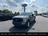 Thumbnail of 2022 Carbonized Gray Metallic Ford F-150