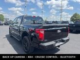 Thumbnail of 2025 Agate Black Metallic Ford F-150