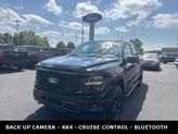 Thumbnail of 2025 Agate Black Metallic Ford F-150
