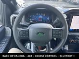 Thumbnail of 2025 Agate Black Metallic Ford F-150
