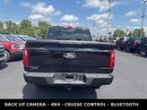 Thumbnail of 2025 Agate Black Metallic Ford F-150