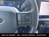 Thumbnail of 2025 Agate Black Metallic Ford F-150