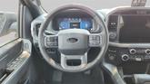Thumbnail of 2025 Carbonized Gray Metallic Ford F-150