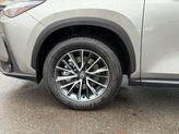 Thumbnail of 2026 Atomic Silver Lexus NX 350h