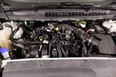 Thumbnail of 2024 Oxford White Ford Edge