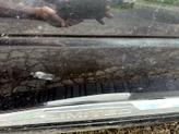Thumbnail of 2016 Brilliant Black Crystal Pearl RAM 1500