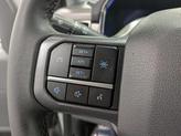 Thumbnail of 2024 Avalanche Ford F-150 Lightning