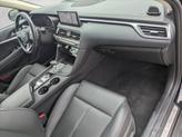 Thumbnail of 2025 Vik Black Genesis G70