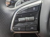 Thumbnail of 2025 Vik Black Genesis G70