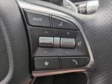 Thumbnail of 2025 Vik Black Genesis G70