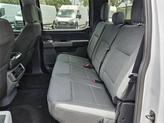 Thumbnail of 2025 SPACE WHITE METALLIC Ford F-150