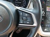Thumbnail of 2024 Autumn Green Metallic Subaru Outback