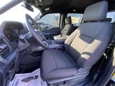 Thumbnail of 2025 AGATE BLACK METALLIC Ford F-150