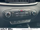 Thumbnail of 2018 Ebony Black Kia Sorento