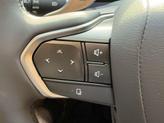 Thumbnail of 2025 Cloudburst Gray/Black Lexus RZ 450e