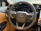 Thumbnail of 2025 Cloudburst Gray/Black Lexus RZ 450e