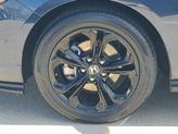 Thumbnail of 2025 Canyon Honda Accord