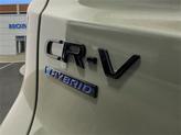 Thumbnail of 2026 Ash Honda CR-V Hybrid