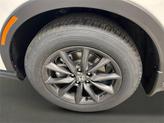 Thumbnail of 2026 Platinum White Pearl Honda CR-V