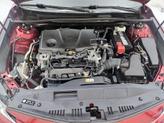 Thumbnail of 2020 Burgundy Toyota Camry