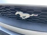 Thumbnail of 2019 INGOT SILVER METALLIC Ford Mustang