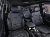 Thumbnail of 2025 Gray Kia Telluride