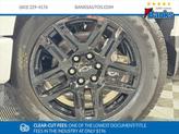 Thumbnail of 2025 Summit White Chevrolet Silverado 1500