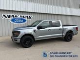 Photo of 2025 Iconic Silver Metallic Ford F-150