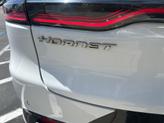 Thumbnail of 2024 Q Ball Dodge Hornet