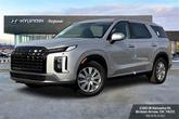 Photo of 2025 Typhoon Silver Hyundai PALISADE