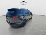 Thumbnail of 2026 Panthera Metal Kia Carnival