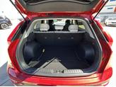 Thumbnail of 2025 Runway Red Kia Niro