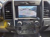 Thumbnail of 2020 Magnetic Metallic Ford F-150