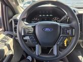Thumbnail of 2020 Magnetic Metallic Ford F-150