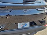 Thumbnail of 2025 Shadow Black Ford Mustang Mach-E