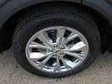 Thumbnail of 2021 Blue Ford Explorer