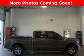 Thumbnail of 2015 Caribou Metallic Ford F-150