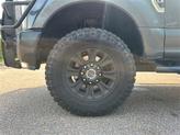Thumbnail of 2019 Magnetic Ford F-250