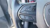 Thumbnail of 2023 Triple Nickel Clearcoat Dodge Charger