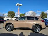Thumbnail of 2025 Baja Storm Met Nissan Rogue