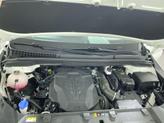 Thumbnail of 2024 Snow White Pearl Kia Carnival