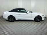 Thumbnail of 2023 OXFORD WHITE Ford Mustang