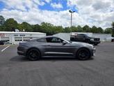 Thumbnail of 2019  Ford Mustang