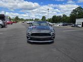 Thumbnail of 2019  Ford Mustang